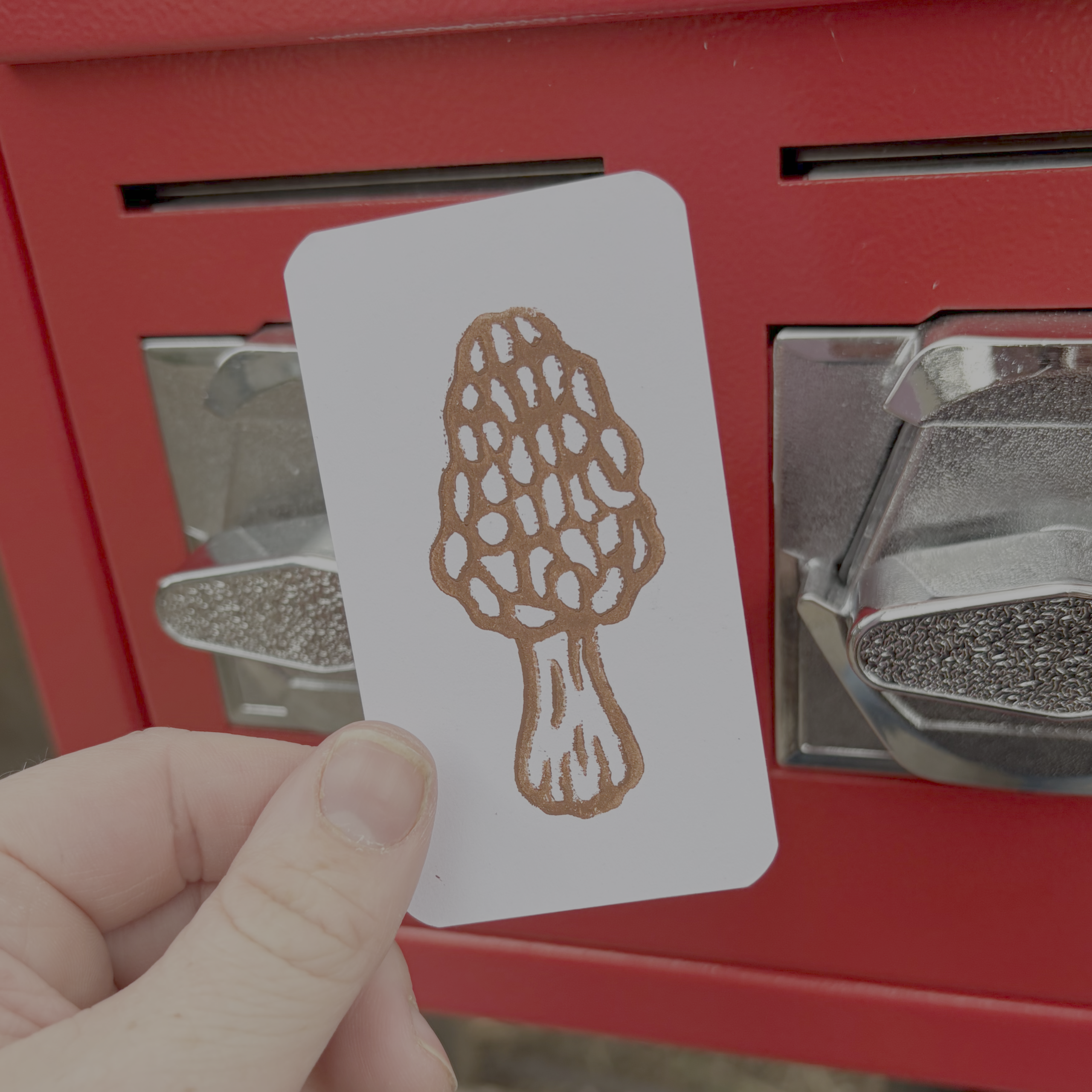 mushroom